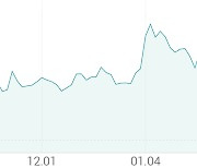 [강세 토픽] 해운 테마, 현대글로비스 +3.68%, 대한해운 +2.81%