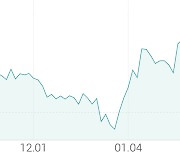 [강세 토픽] 발전 - 태양광 테마, OCI +10.77%, 신성이엔지 +3.65%