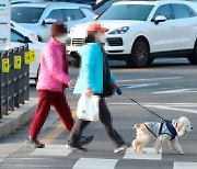 농식품부 "코로나 걸린 반려동물은 자택격리"..반려동물 관리지침 발표