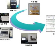 송아지도 친자확인 한다