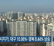 표준지 공시지가, 대구 10.96%·경북 8.44% 상승