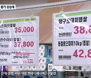 설 명절 앞두고 장바구니 물가 들썩