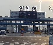 작년 인천항 중고차 수출 17.5% 감소..코로나19 여파