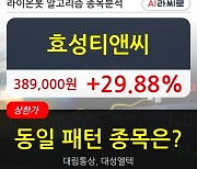 효성티앤씨, 상한가 진입.. 이 시각 거래량 22만6536주