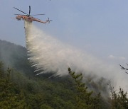 대전시, 야외 활동 증가에 따라 '산불대응센터' 운영