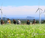 우수 식재료 '비트·메밀' 제주 특화 작목으로 키운다