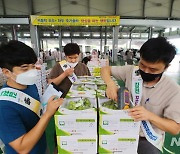 김천시, 경북 첫 샤인머스캣 품질 인증제 도입