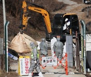 울산 조류인플루엔자 4천여건 검사 '음성'..청정지역 유지