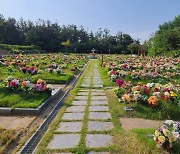 '코로나19 예방'..익산시, 설 연휴 팔봉 공원묘지 전면 폐쇄