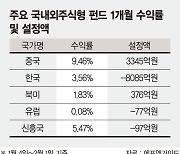 美 1% 오를때 9% 뛰었다.. 원정개미, 중국 주식형펀드 눈독