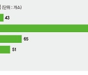 공공뉴타운 개발땐 해제지역 145곳  밀집'노도강' 최대수혜 [수도권 주택 공급 특단의 대책 뭔가]