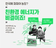 한국에 파파야 농장?.."친환경 에너지가 비결이죠!"