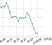 금호전기, 특별관계자 지분변동