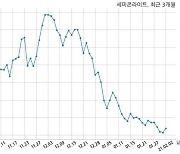 세미콘라이트 단기차입금 90억원 증가