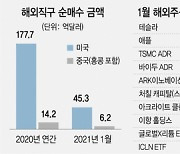 '서학개미' 한달새 5.8조 베팅..전기차·친환경株 집중