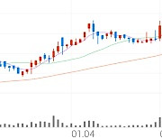 알톤스포츠, +1.19% 52주 신고가