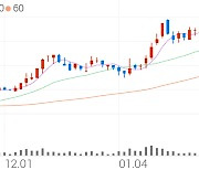 롯데칠성, +3.17% 52주 신고가