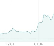 [강세 토픽] 현대·기아차 부품주 테마, 화신 +12.50%, 평화정공 +8.64%