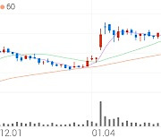 대한유화, +1.13% 52주 신고가