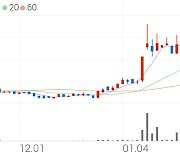 뉴인텍, +11.76% VI 발동