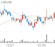 썸에이지, +2.31% 상승폭 확대