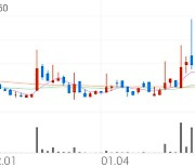 로보로보, +11.20% VI 발동