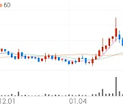 우노앤컴퍼니, +3.88% 52주 신고가