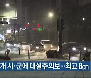 충북 9개 시·군에 대설주의보..최고 8cm