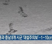 세종과 충남 8개 시군 '대설주의보'..1~10cm 눈