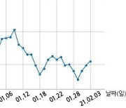 버킷스튜디오, 특별관계자 지분변동