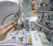 S. Korea's FX reserves in January fall for first time in 10 months