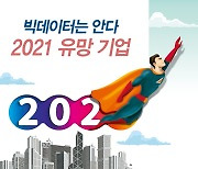 '빅데이터는 안다' 2021 유망기업은 배터리·미래농업·그린뉴딜