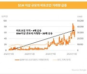 거래량 20배 '껑충'..비트코인 폭등, 배후엔 큰손?