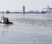 경인 아라뱃길 수질 개선하고 운송 대신 문화관광 기능 확대