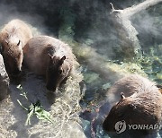 '추위에는 온천욕이 최고'