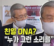김종인, 해저터널 '친일' 비판에 "일본 이용할 생각해야"