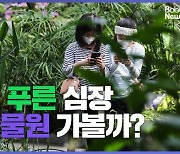 [세줄영상] 도심의 푸른 심장, 서울식물원 가볼까?