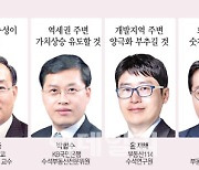 전문가들 "실현가능성 있나..단기급등 미봉책"