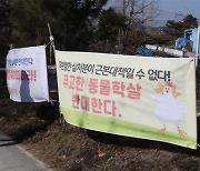 [단독] "AI백신 놔두고 닭·오리 과잉 살처분"