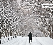 <박경일기자의 여행>겨울 지나는 길에 만난 '하얀 수묵화'.. 눈부신 雪山도, 뜨끈한 쌍화차도 좋다