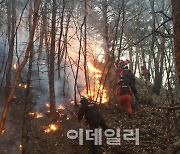 5일 오후 강원 정선서 산불 발생..강풍속 진화 어려움