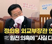 [영상] 정의용 "북한 원전 검토 없어..사실 다르면 책임"