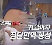 [영상] 국내 접종도 임박.."11월까지 집단면역 형성"