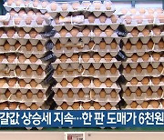 달걀값 상승세 지속..한 판 도매가 6천원 육박