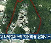 충남대 대덕캠퍼스에 '치유의 숲' 산책로 조성