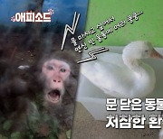 [애피소드] '지옥'이라 불린 동물원, 학대 의혹 받는 대구 한 동물원의 기록