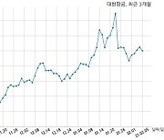 대한항공, "㈜한진칼, 유상증자 참여"