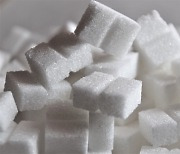 '설탕'을 과다섭취 했을 때, 우리 몸에서 일어나는 일들