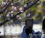 [내일날씨] 대체로 맑고 포근..중서부·영남 미세먼지