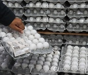 '금달걀' 도매가마저 6천원 육박..대형마트서도 미국산 판매
